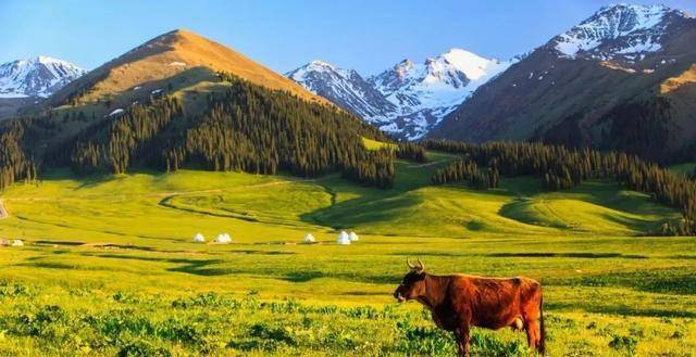 新疆，多元融合之魅力所在