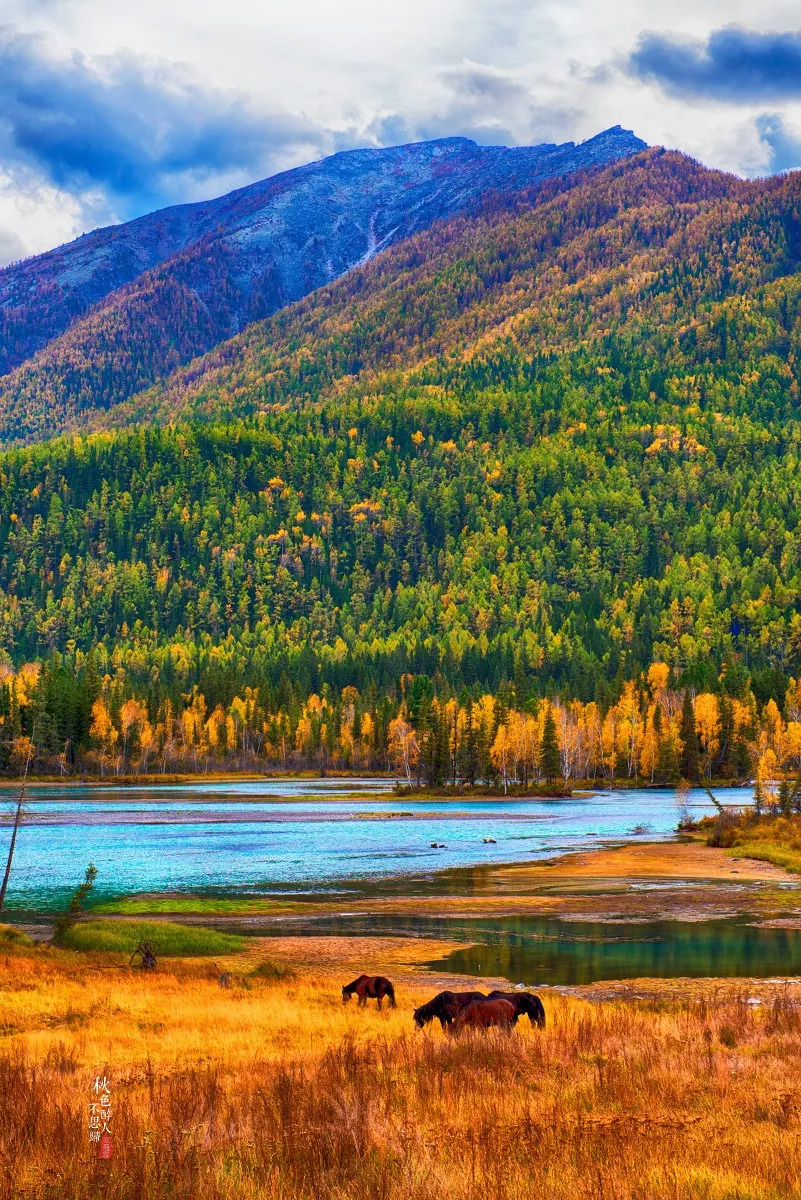 新疆,多元融合之魅力所在