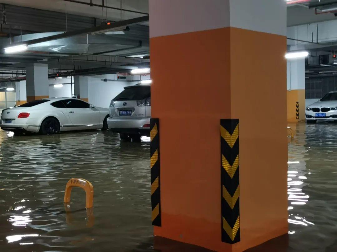 秦皇岛自然探索之旅,追寻内心的平和与喜悦