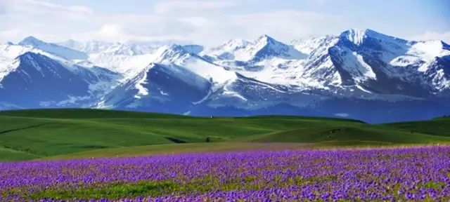 探寻新疆奇境,新疆之旅全程攻略指南